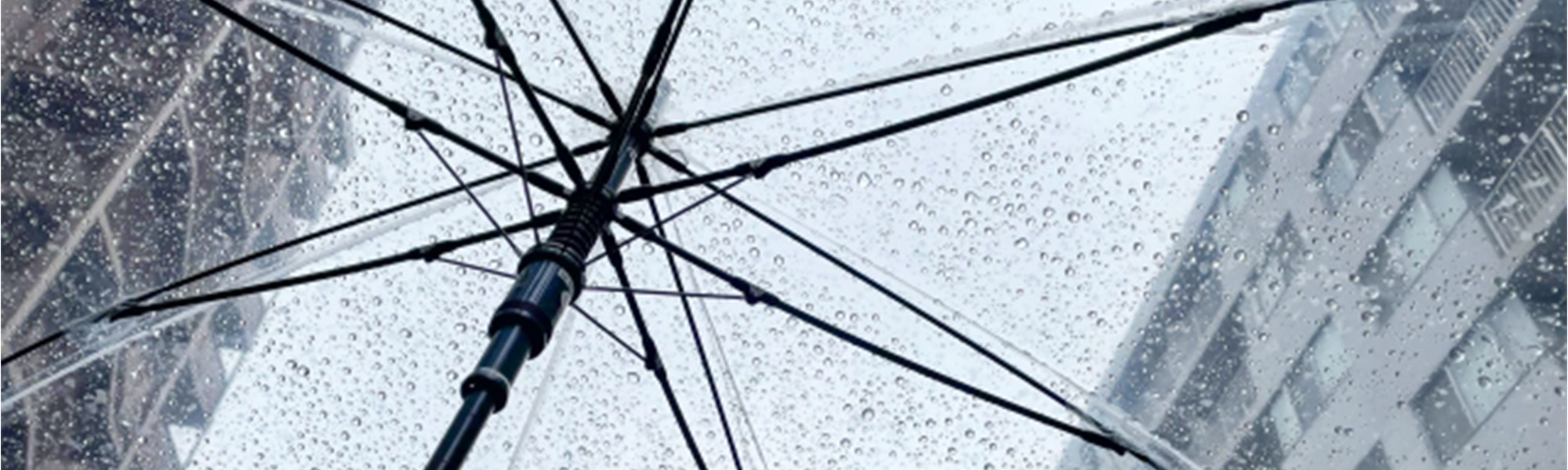 雨傘の特徴