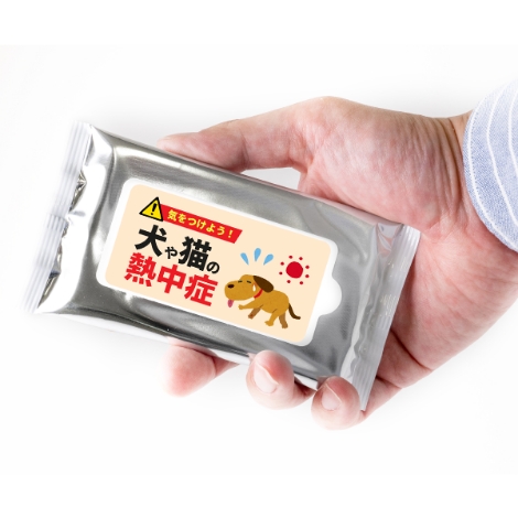 小ロット！冷感クールウェット10枚