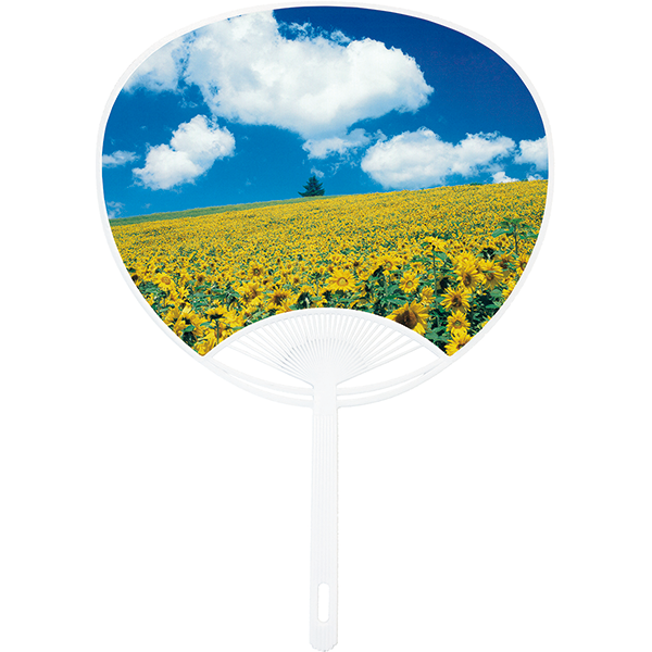 うちわレギュラーサイズ　青空ひまわり